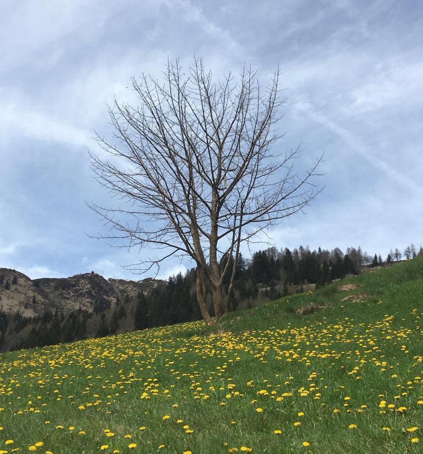 B&B Gottardo Airolo Exteriör bild