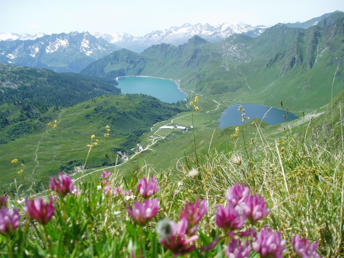 B&B Gottardo Airolo Exteriör bild