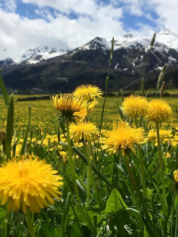 B&B Gottardo Airolo Exteriör bild
